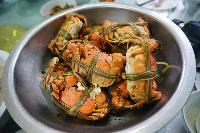 20251102-wipci 20251102-wipci