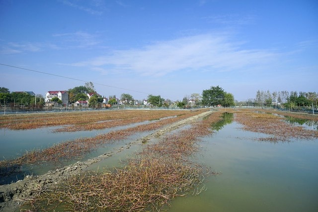 20251102-yxre3 20251102-yxre3