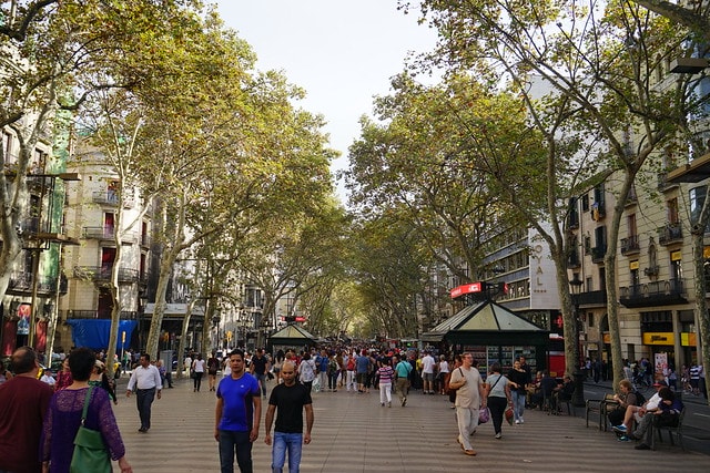 20251102-0a37y 20251102-0a37y