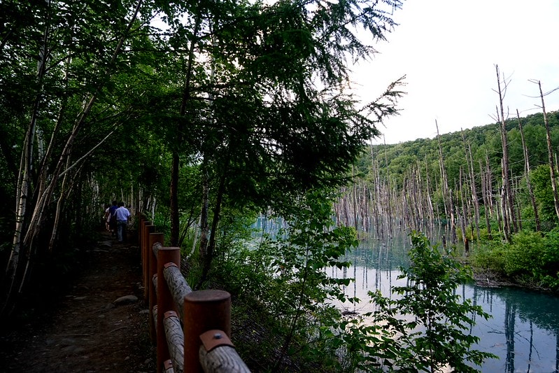 20251102-4xiac 20251102-4xiac