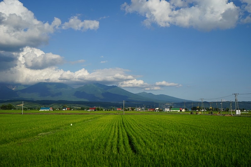 20251102-akmhb 20251102-akmhb