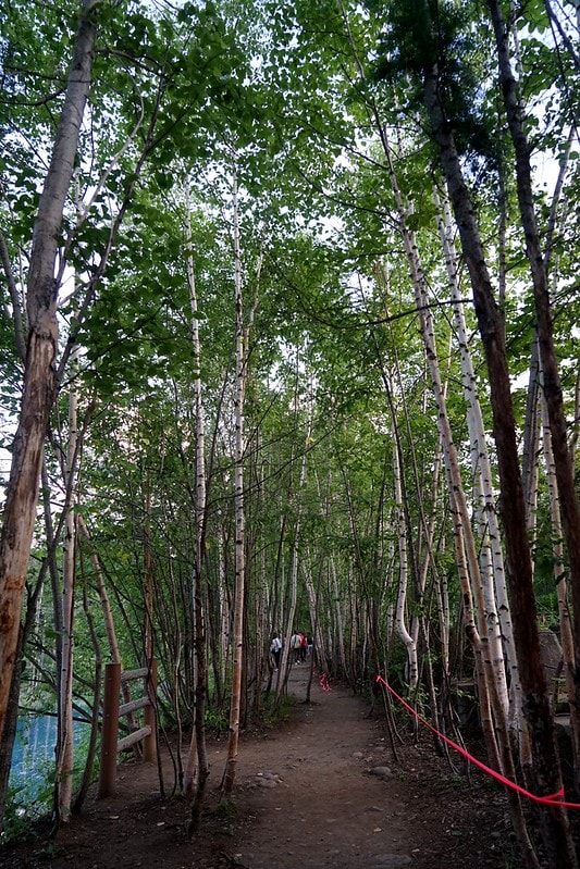 20251102-d1cf0 20251102-d1cf0