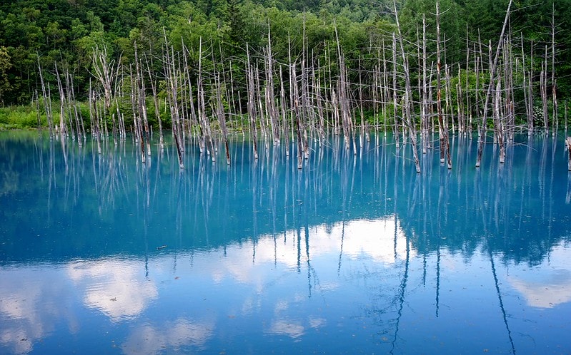 20251102-q6b4d 20251102-q6b4d