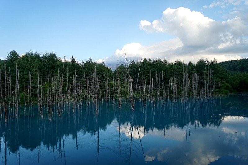 20251102-uadhy 20251102-uadhy