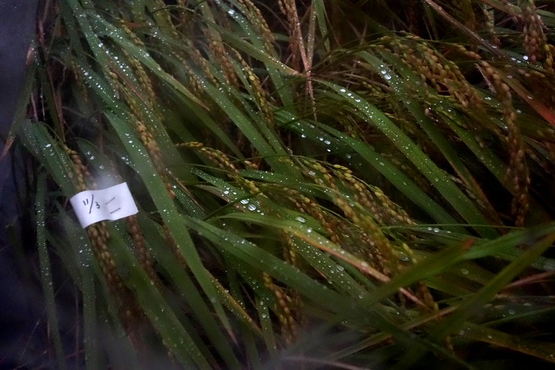 20251102-3df69 20251102-3df69