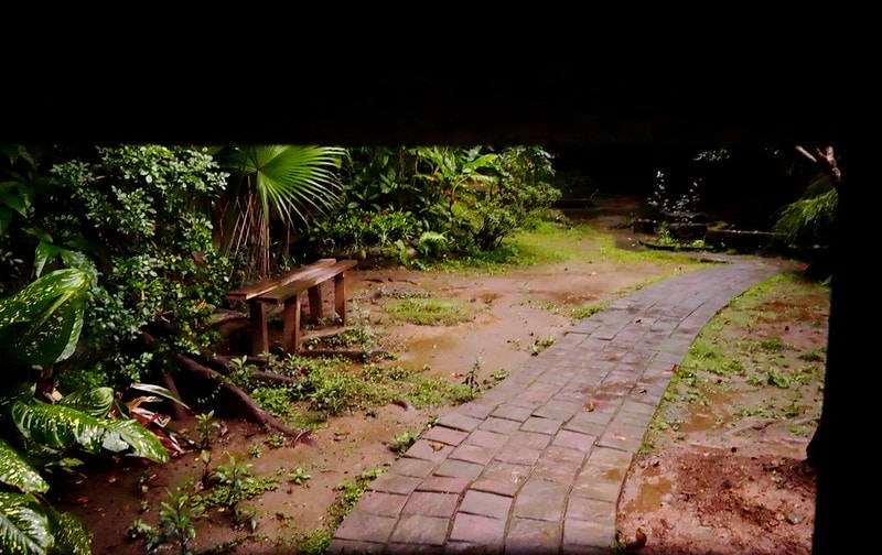 20251102-6147e 20251102-6147e