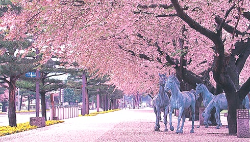 20251102-ahku9 20251102-ahku9