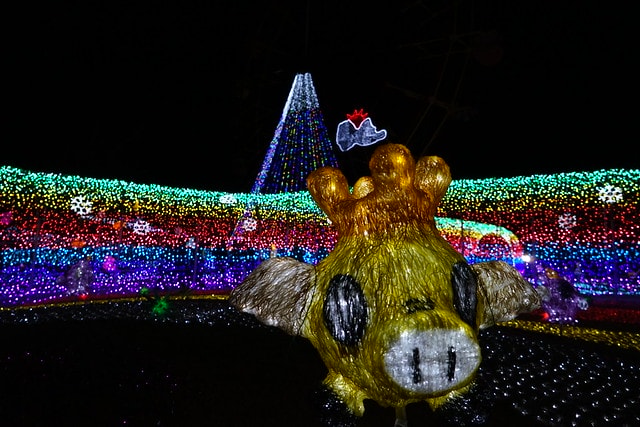 20251102-09qh9 20251102-09qh9