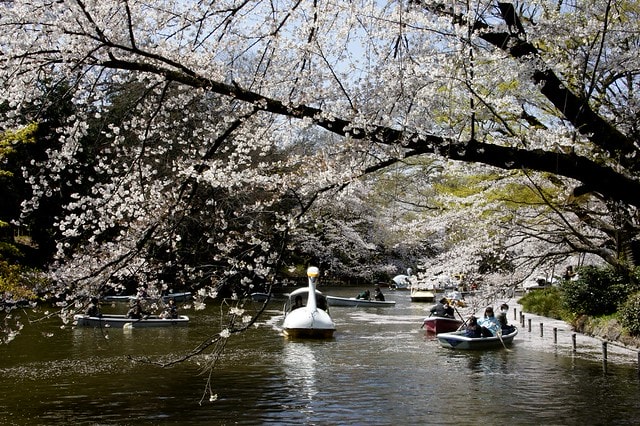 20251102-0ehcc 20251102-0ehcc