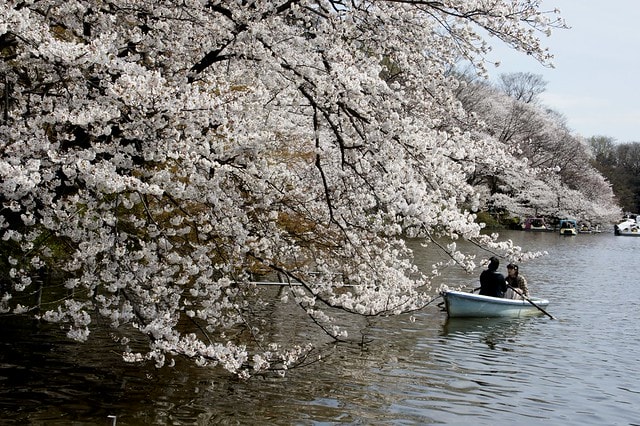 20251102-13ttx 20251102-13ttx