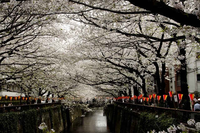 20251102-5cq03 20251102-5cq03