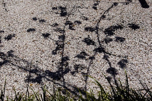 20251102-butlv 20251102-butlv