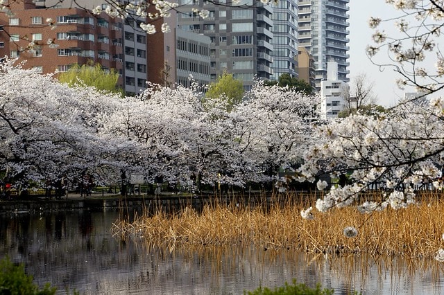 20251102-ep5t9 20251102-ep5t9