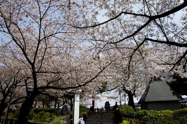 20251102-feuk5 20251102-feuk5