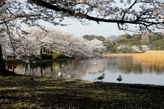 20251102-jlglx 20251102-jlglx