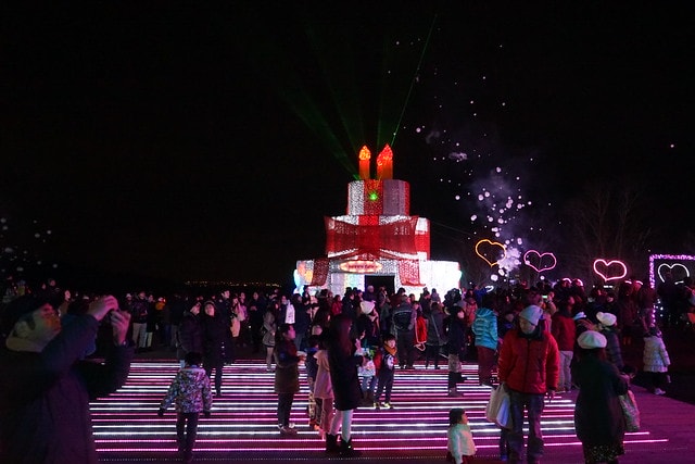 20251102-mvq81 20251102-mvq81