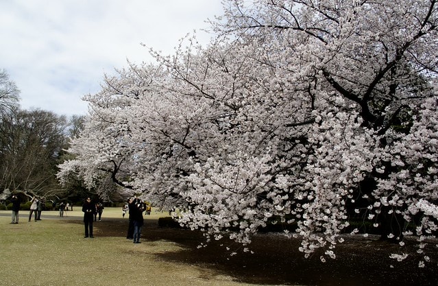 20251102-nxce8 20251102-nxce8