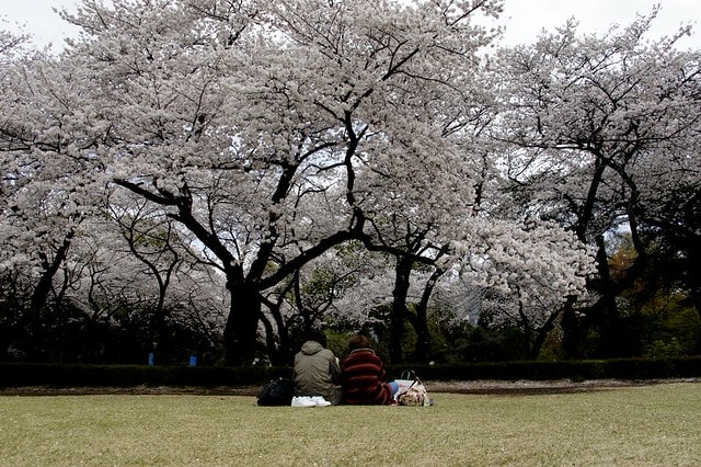 20251102-sez17 20251102-sez17