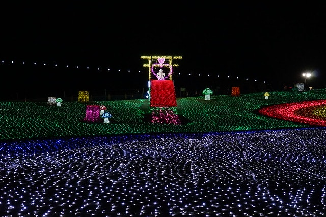 20251102-ujy0p 20251102-ujy0p