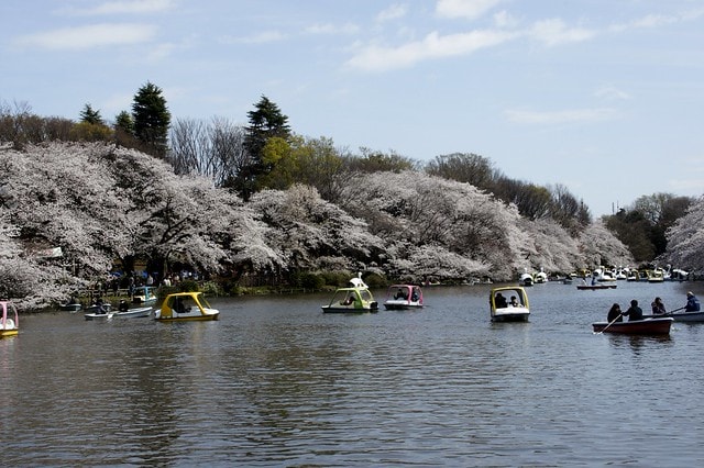 20251102-vmnyu 20251102-vmnyu