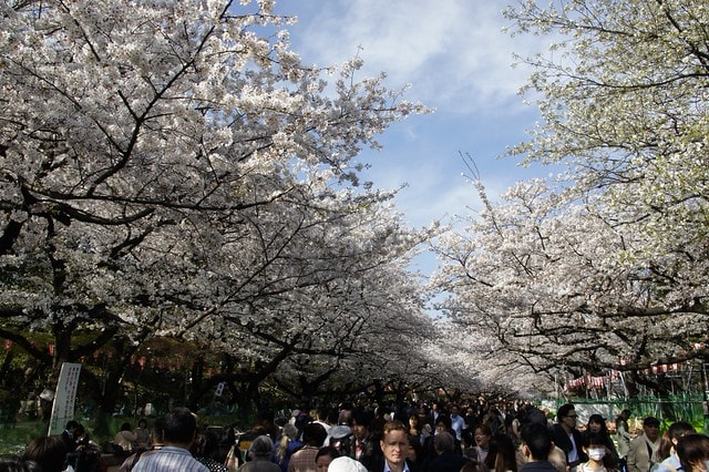 20251102-vt8ov 20251102-vt8ov