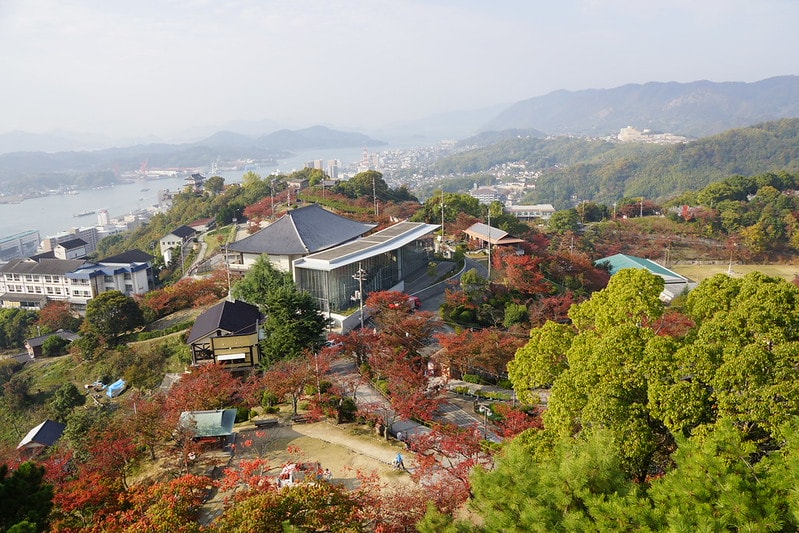 20251102-vw66o 20251102-vw66o