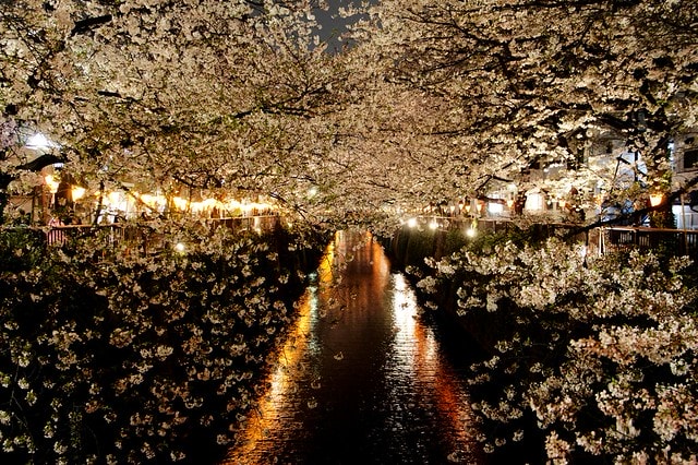 20251102-w5lmp 20251102-w5lmp