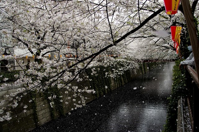 20251102-wp2nq 20251102-wp2nq