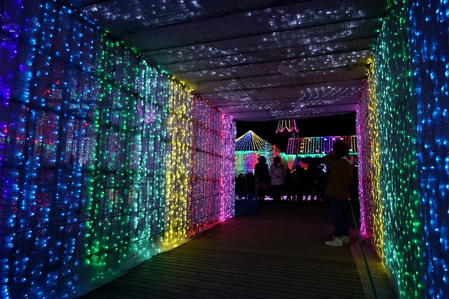 20251102-zyou5 20251102-zyou5