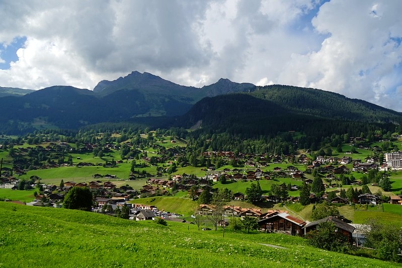 20251102-6582q 20251102-6582q