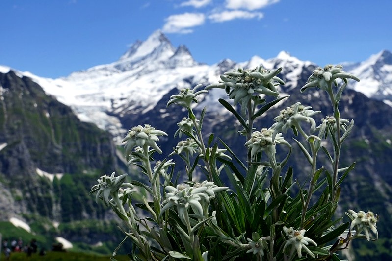 20251102-6cw2q 20251102-6cw2q