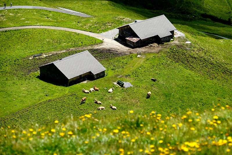 20251102-lnfwr 20251102-lnfwr