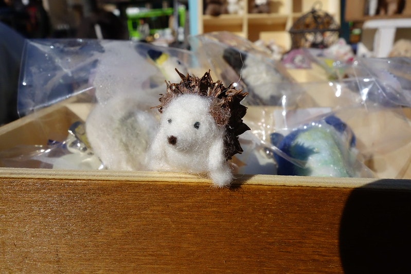 20251102-yshnf 20251102-yshnf