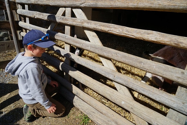 20251102-0d1ny 20251102-0d1ny