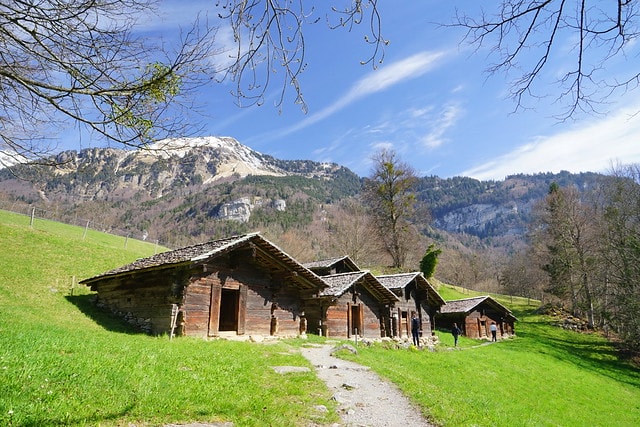 20251102-6no8p 20251102-6no8p