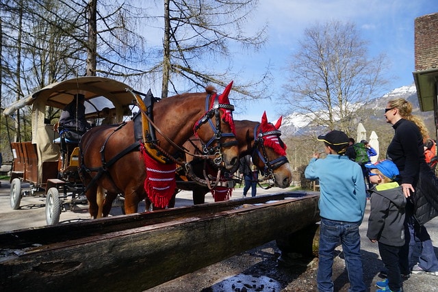 20251102-9w2o7 20251102-9w2o7