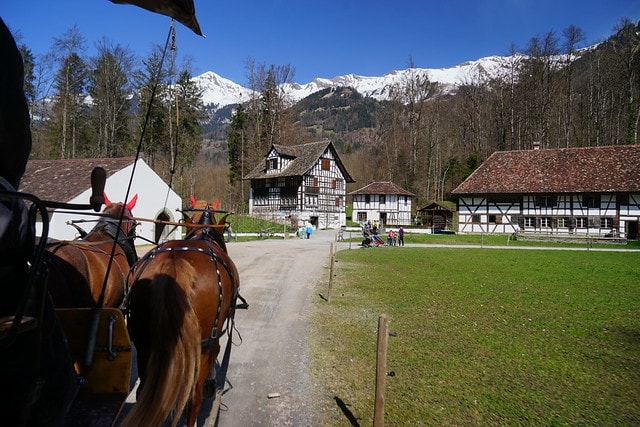 20251102-9ws4z 20251102-9ws4z