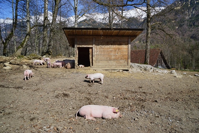 20251102-ba36l 20251102-ba36l