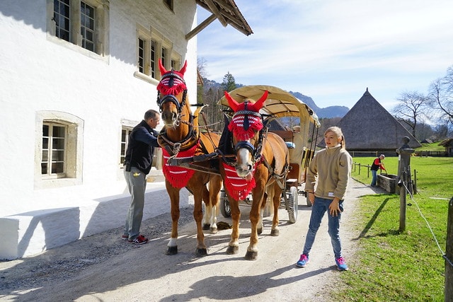 20251102-bzp4d 20251102-bzp4d