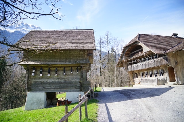 20251102-mzlus 20251102-mzlus