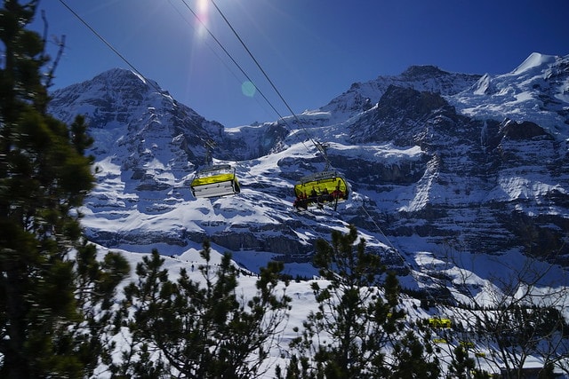 20251102-pcr36 20251102-pcr36