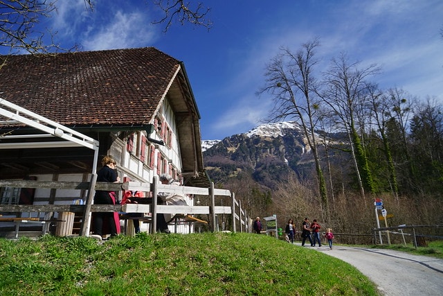 20251102-rmet5 20251102-rmet5