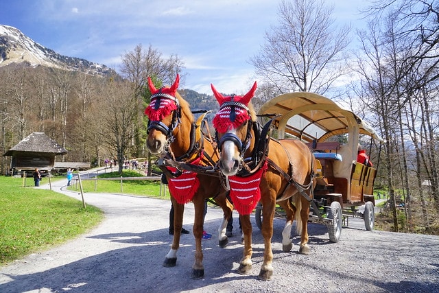 20251102-v5h30 20251102-v5h30