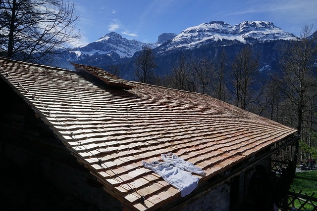 20251102-y4cmq 20251102-y4cmq