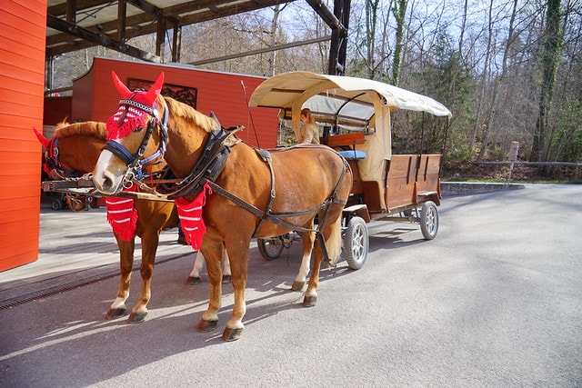 20251102-ywhua 20251102-ywhua