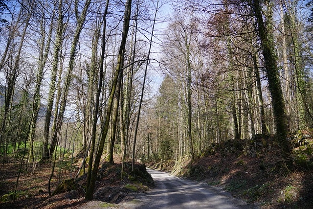 20251102-zv4b3 20251102-zv4b3