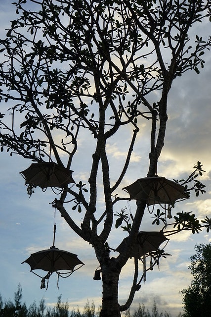 20251102-6dxmi 20251102-6dxmi