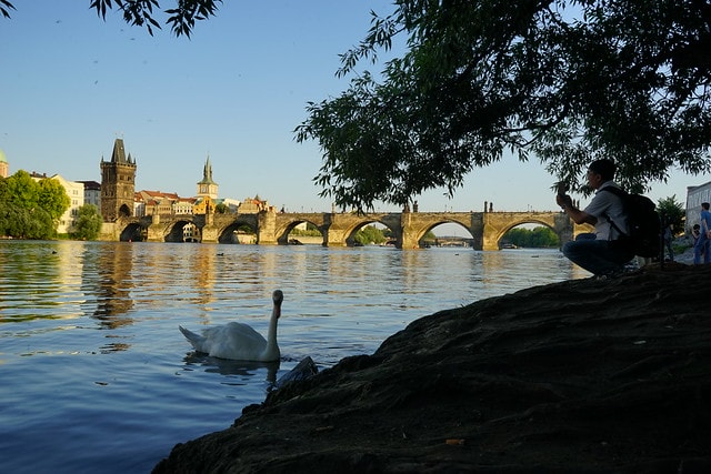 20251102-t855x 20251102-t855x