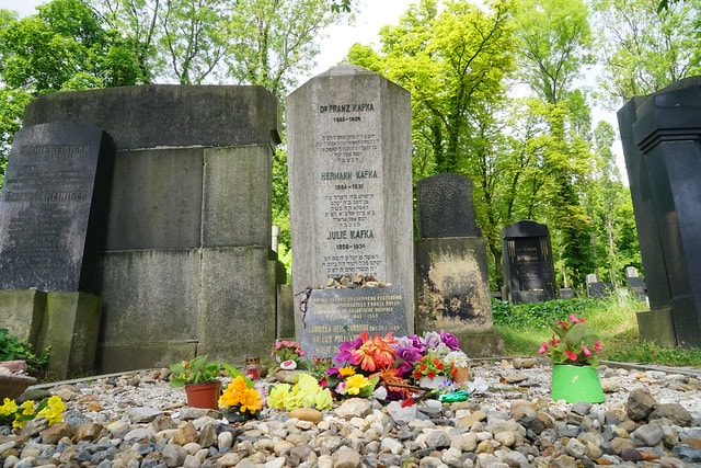 20251102-yjs5b 20251102-yjs5b