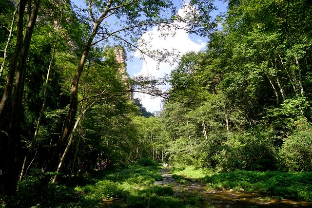 20251102-0ngjo 20251102-0ngjo